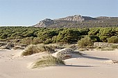 Costa da Luz - Ruins of the Roman town Baelo Claudia, almost on the beach of Bolonia Cove 